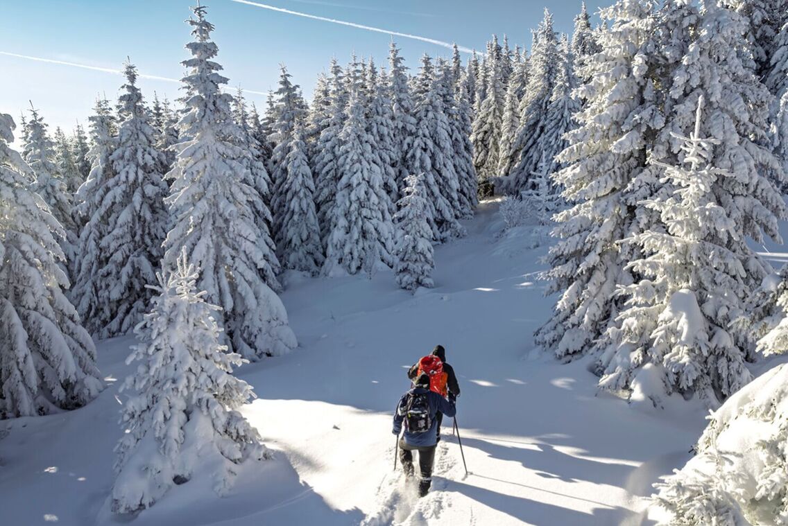 Hikers trekking up a snowy hill with trekking poles