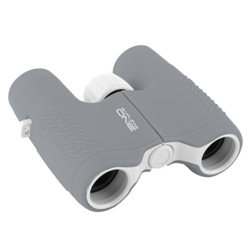 6x21 Binoculars