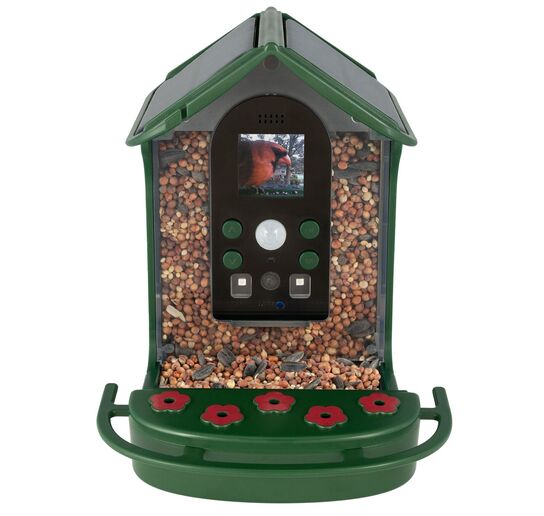 Wild Bird Feeder Camera
