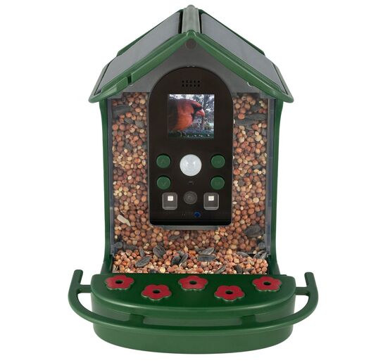 Wild Bird Feeder Camera