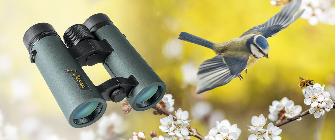 Alpen Wings Binocular with Bird