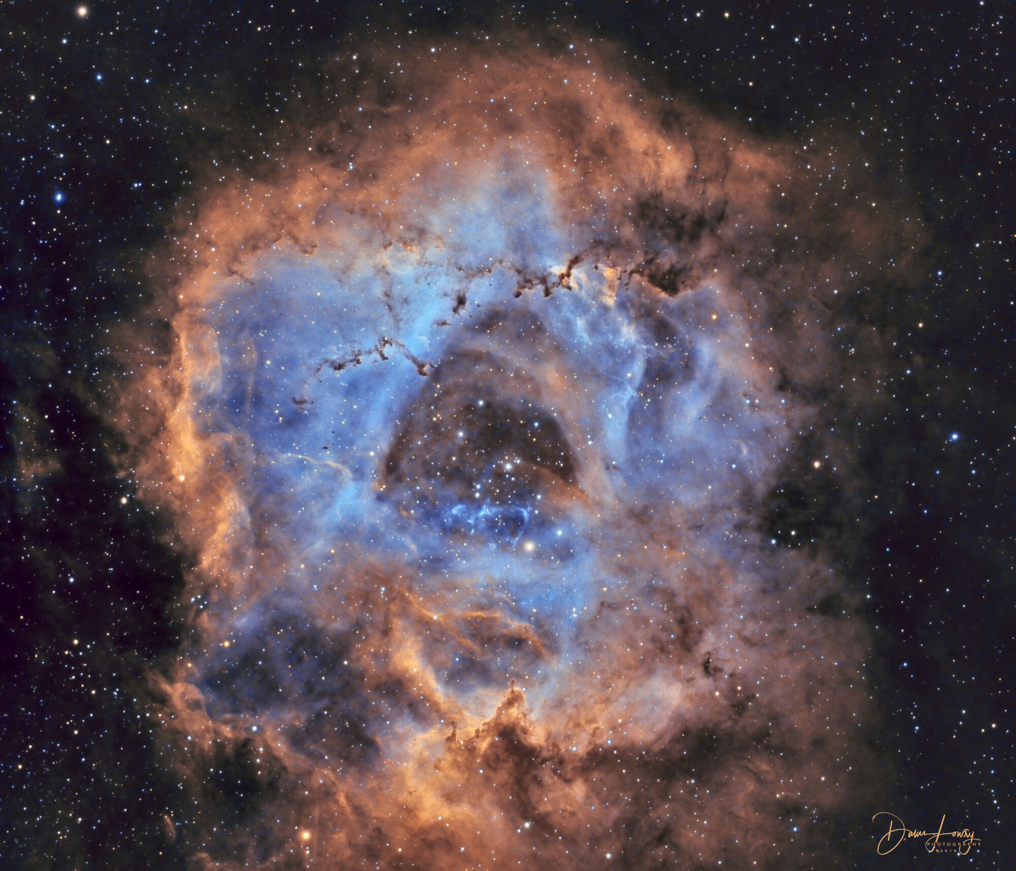  Rosette Nebula by Dawn Lowry