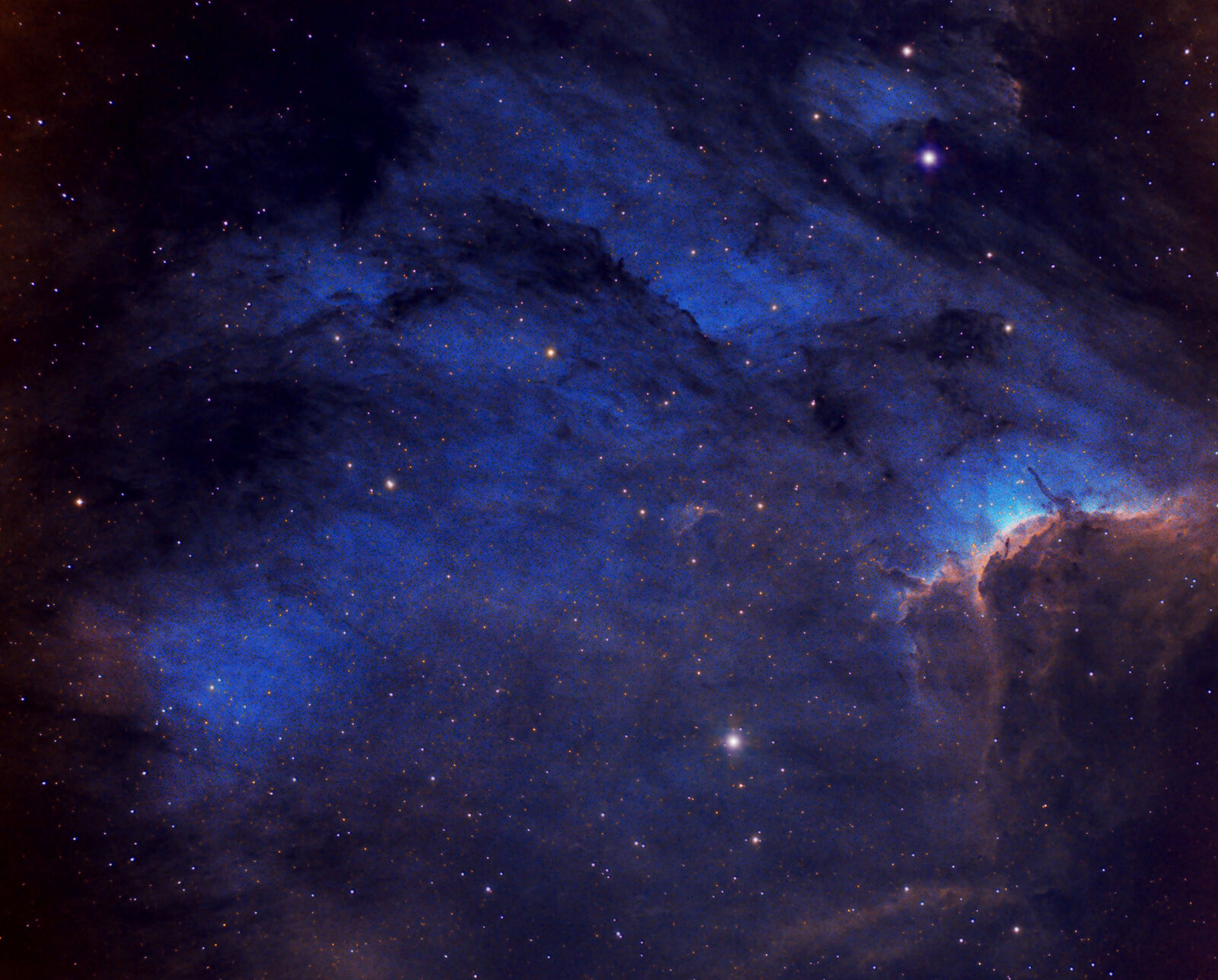 Pelican Nebula by Shailendra Sharma