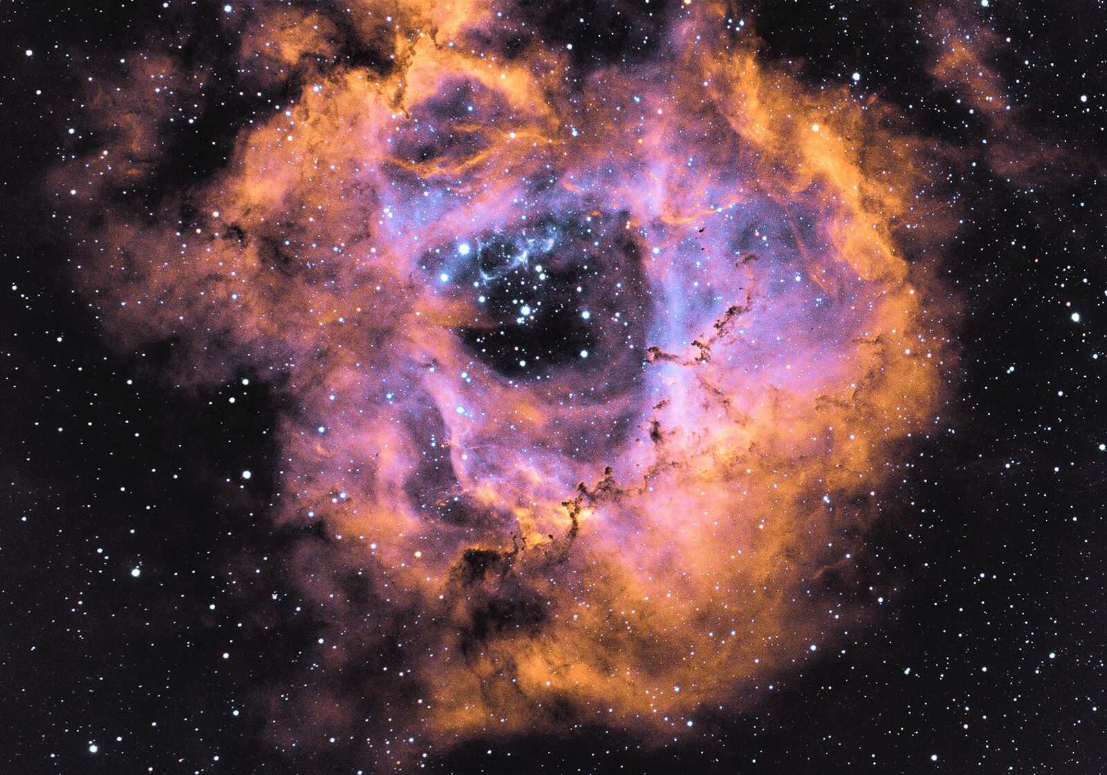 Rosette Nebula by Brian Meyerberg