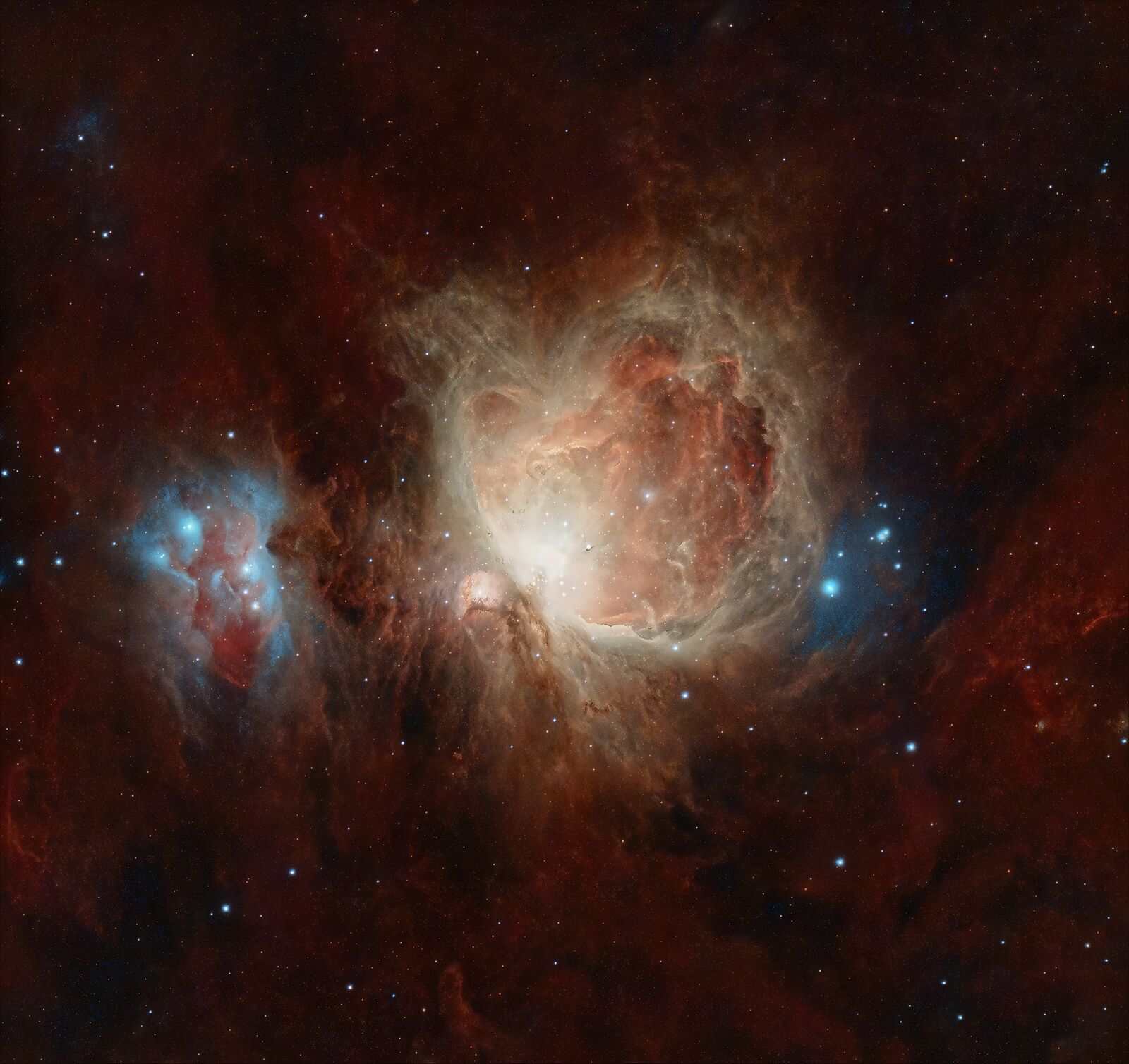 Orion Nebula by Rob Gross