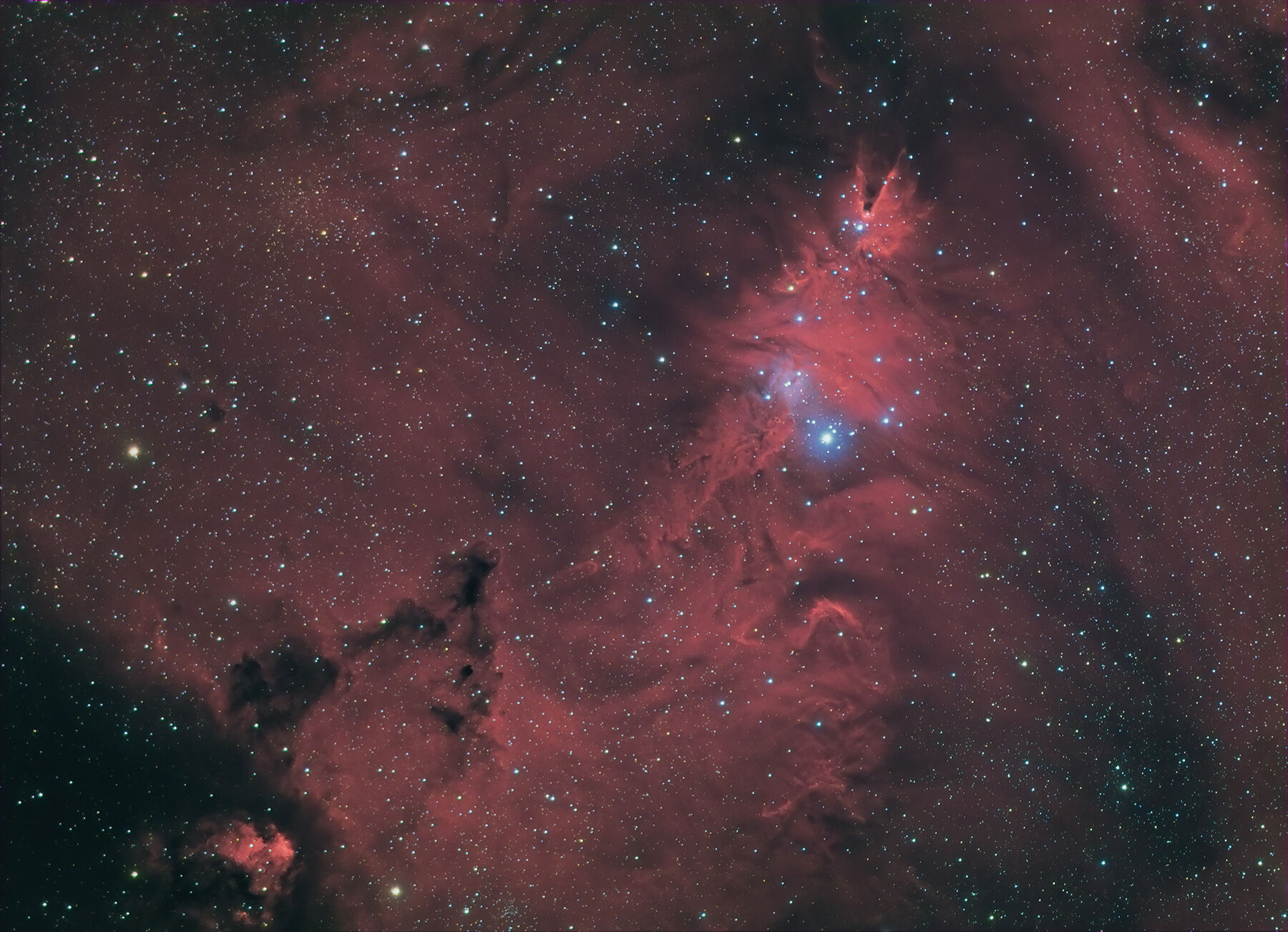 Christmas Tree Cluster and Cone Nebula by John Bellisario