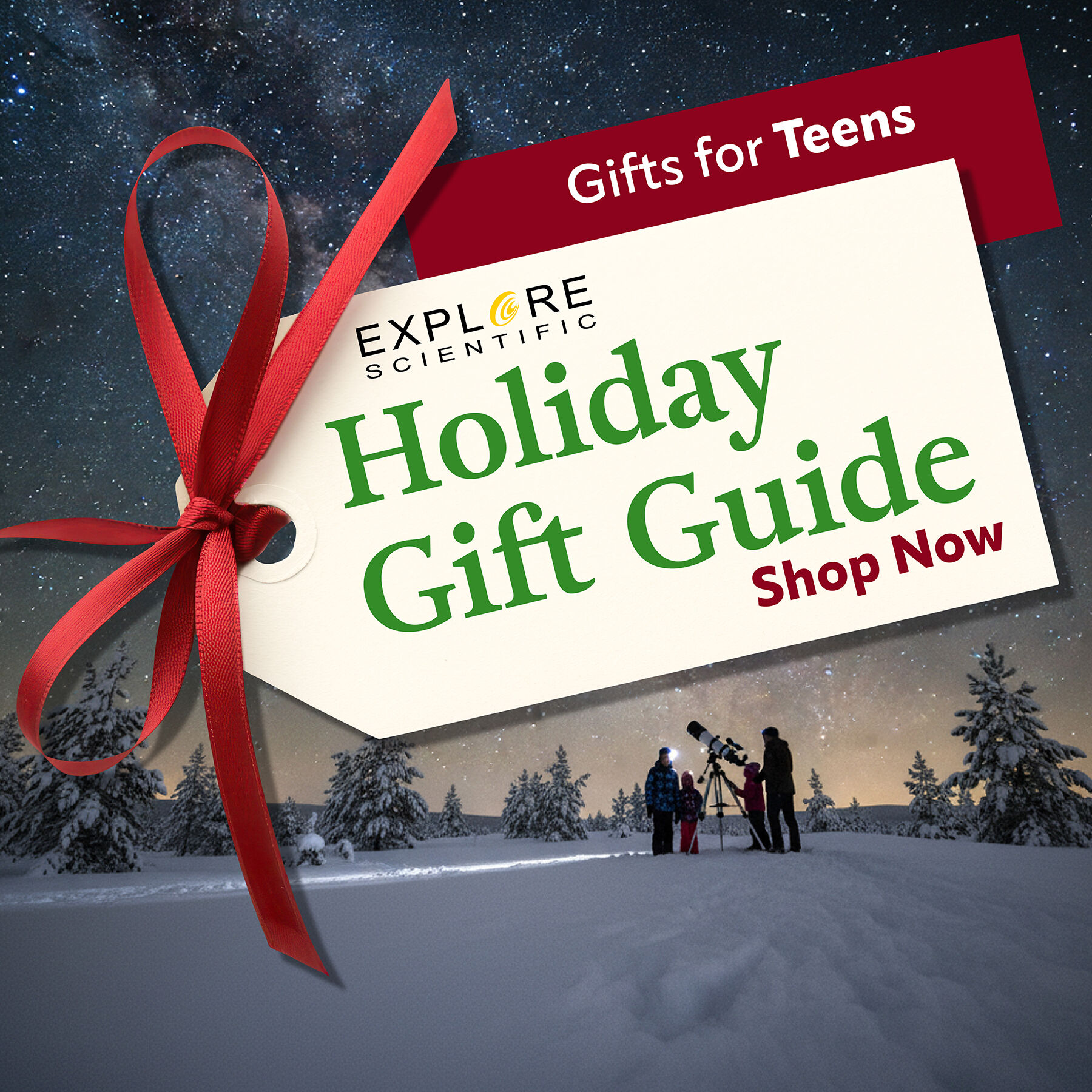 Holiday gift guide tag