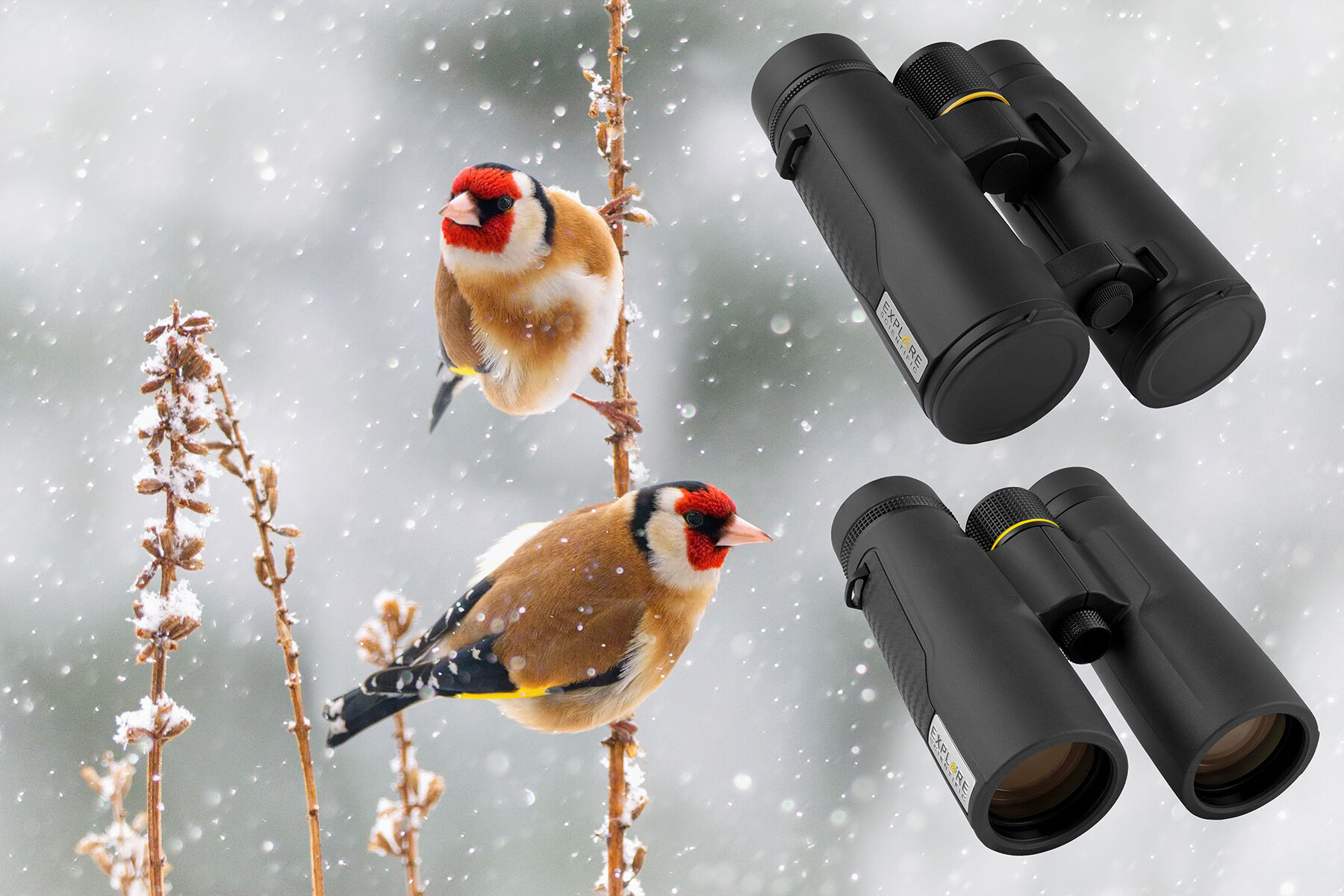 Waterproof Telescope Eyepieces